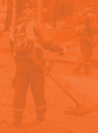 Building and grounds cleaning and maintenance workers: